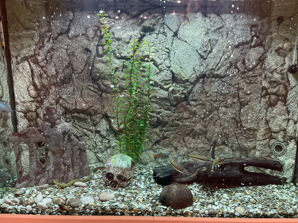 Просторная квартира для большой семьи — аренда посуточно в Парголово