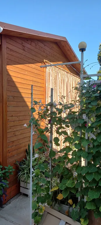 Коттедж Отдельный домик на Фиоленте — Севастополь