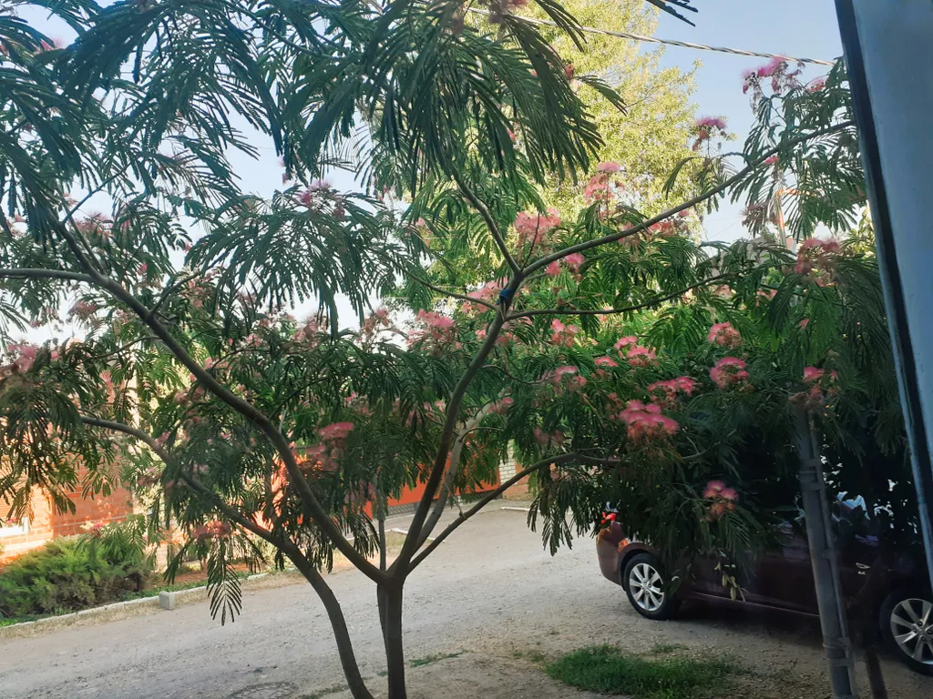 Дом для отдыха на море