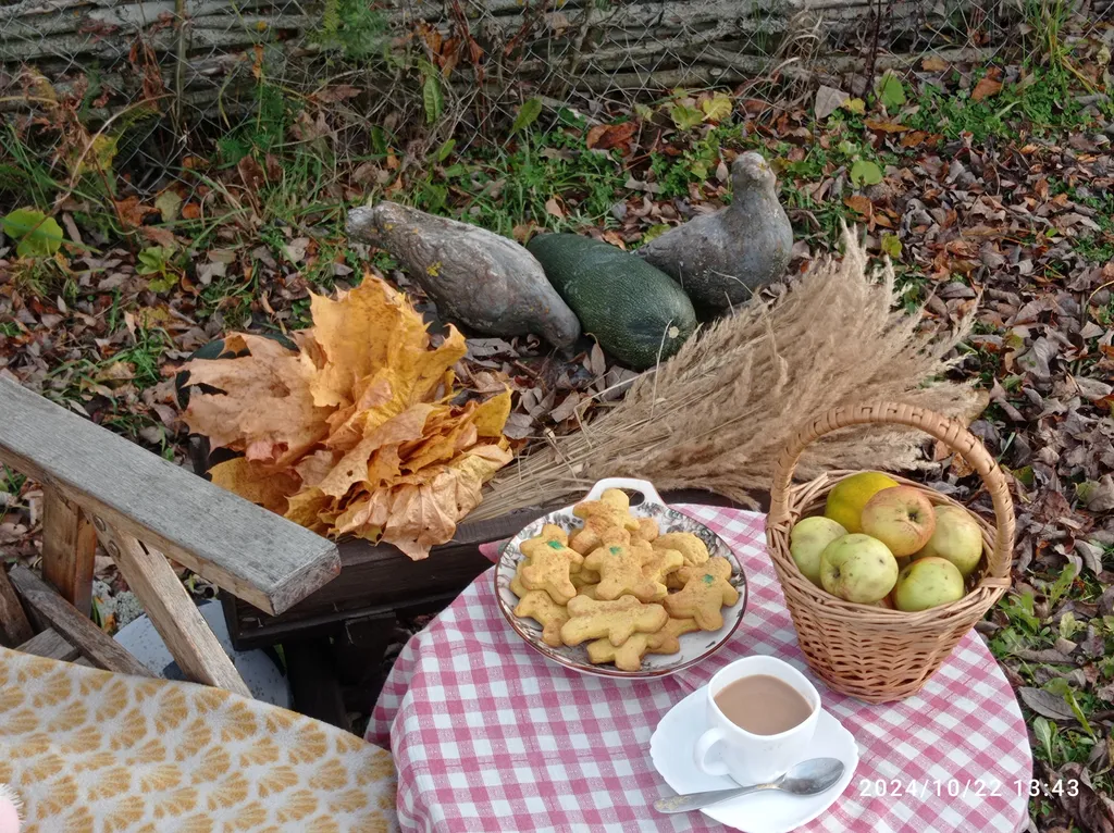 Комната с собственной терассой на крыше