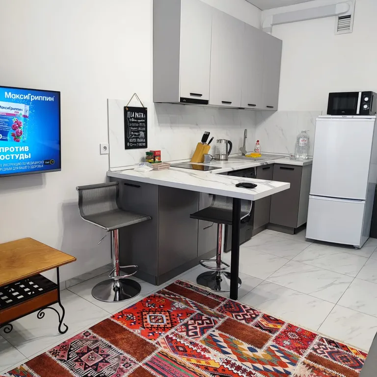 Уютная квартира возле гостиницы Казахстан города Алматы