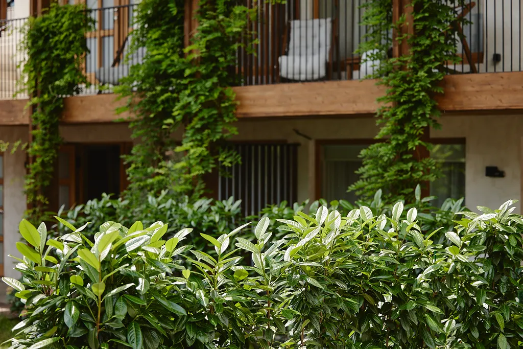 Студия Воздух с классной кухней в гостевом доме Пентакли в Красной Поляне