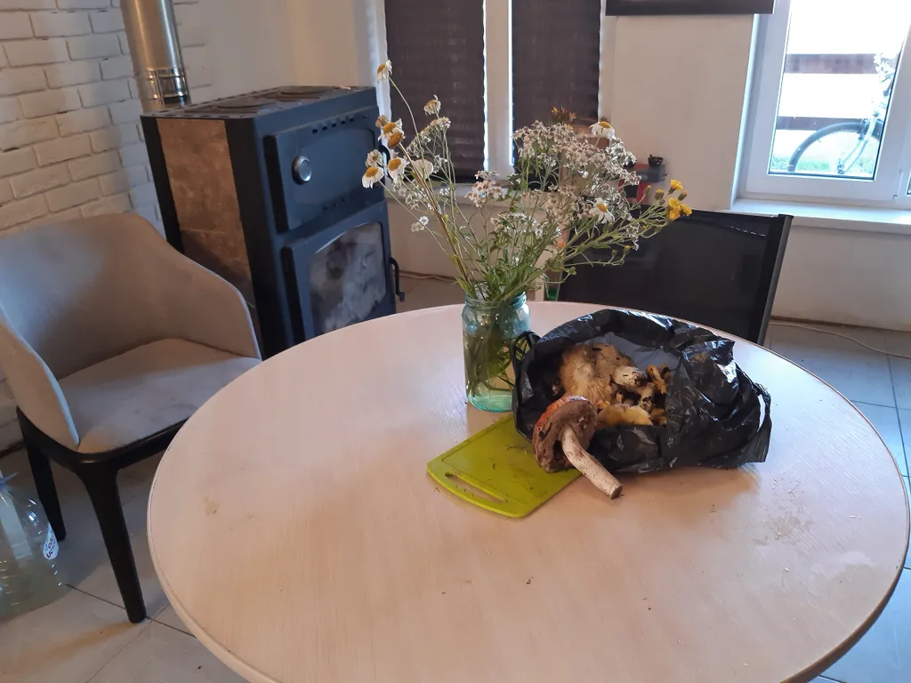 Коттедж Коттедж Дача в Кокосах — Разметелево