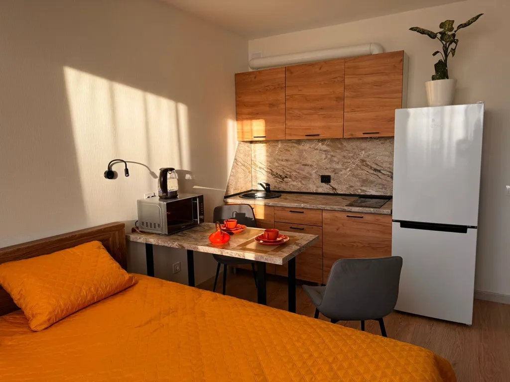 Квартира Квартира Студия Песочный, НИИ Петрова/Гранова/Напалкова — Песочный