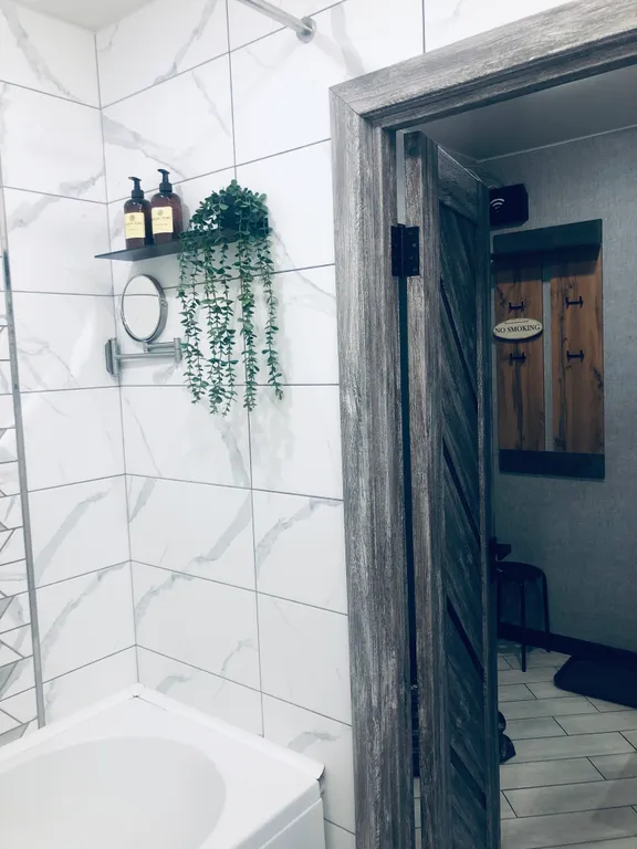 Отличная квартира-студия серый кот