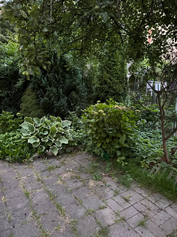 Квартира Уютная квартира в центре Амалиенау с выходом в сад — Калининград