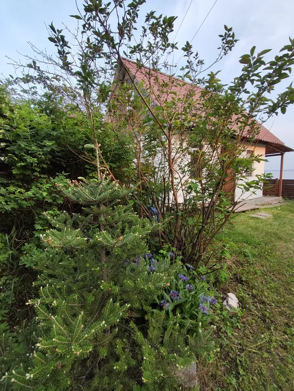 Домик на озере Синара