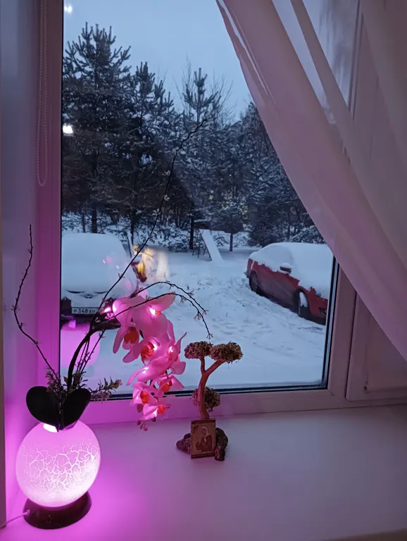 В гостях у Сказки