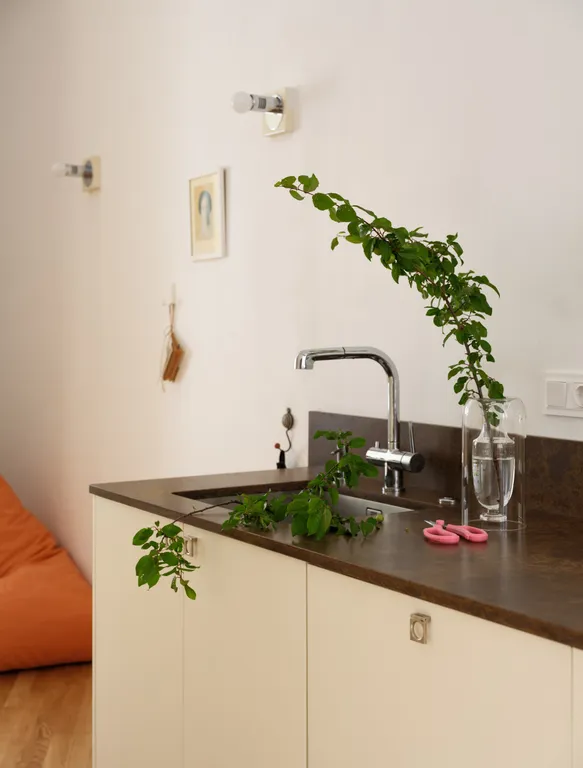 Апартаменты с тремя спальнями на Петроградской стороне