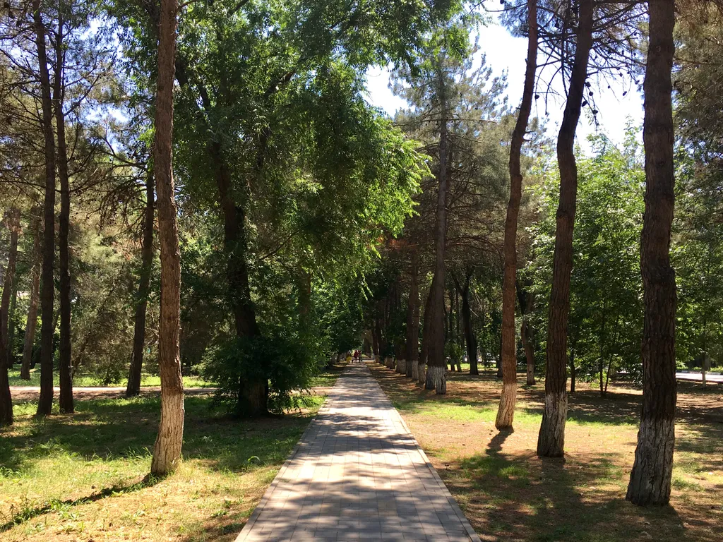 Квартира 1-комнатная Квартира — Анапа