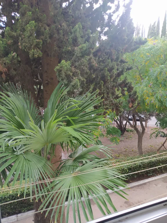 Трёхкомнатная квартира в центральной части