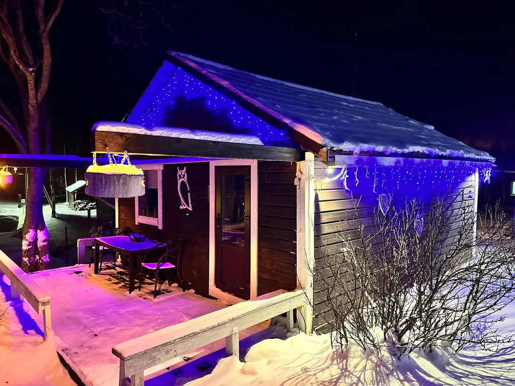 Коттедж Совиный — аренда посуточно в Лахденпохья