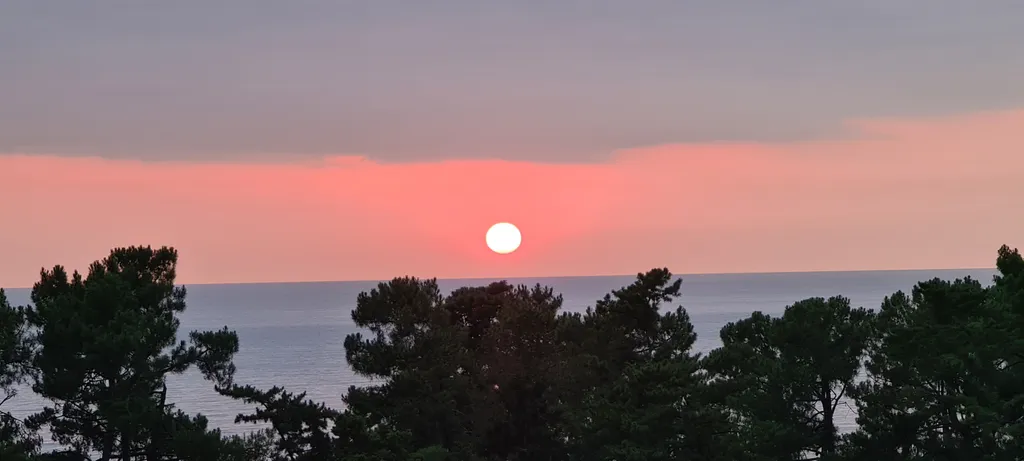 Уютная квартира у моря