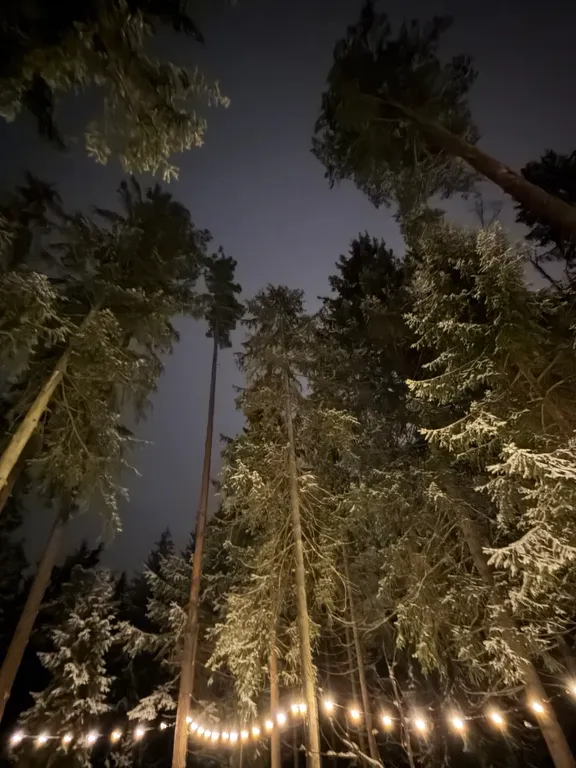 Коттедж Загородный дом мечты - уют, природа и комфорт в каждом уголке — Свердловский