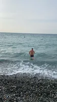 Апартоника
