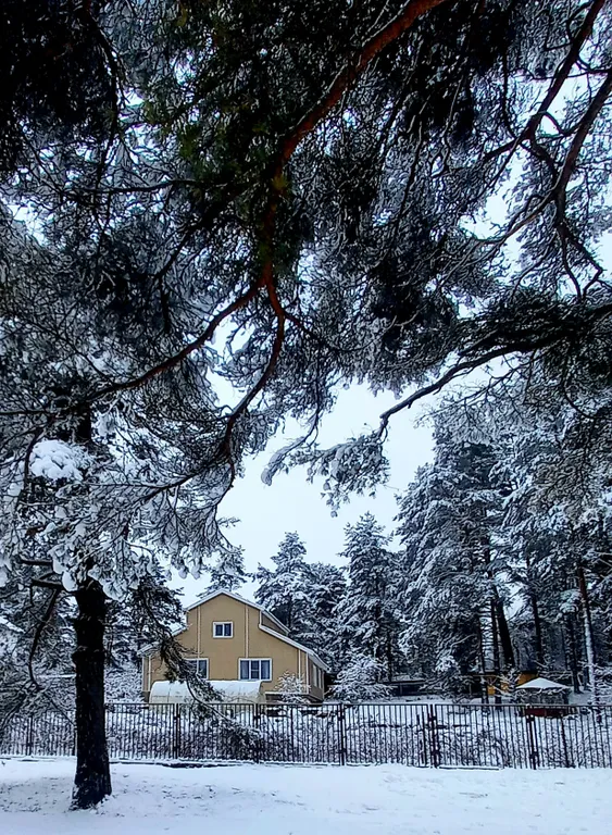 Гостевой дом у сосен.