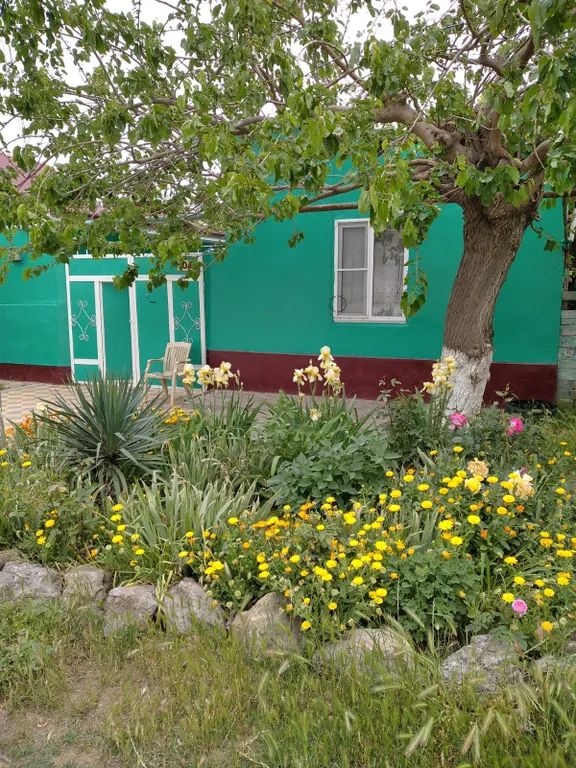 Уютный домик в центре города