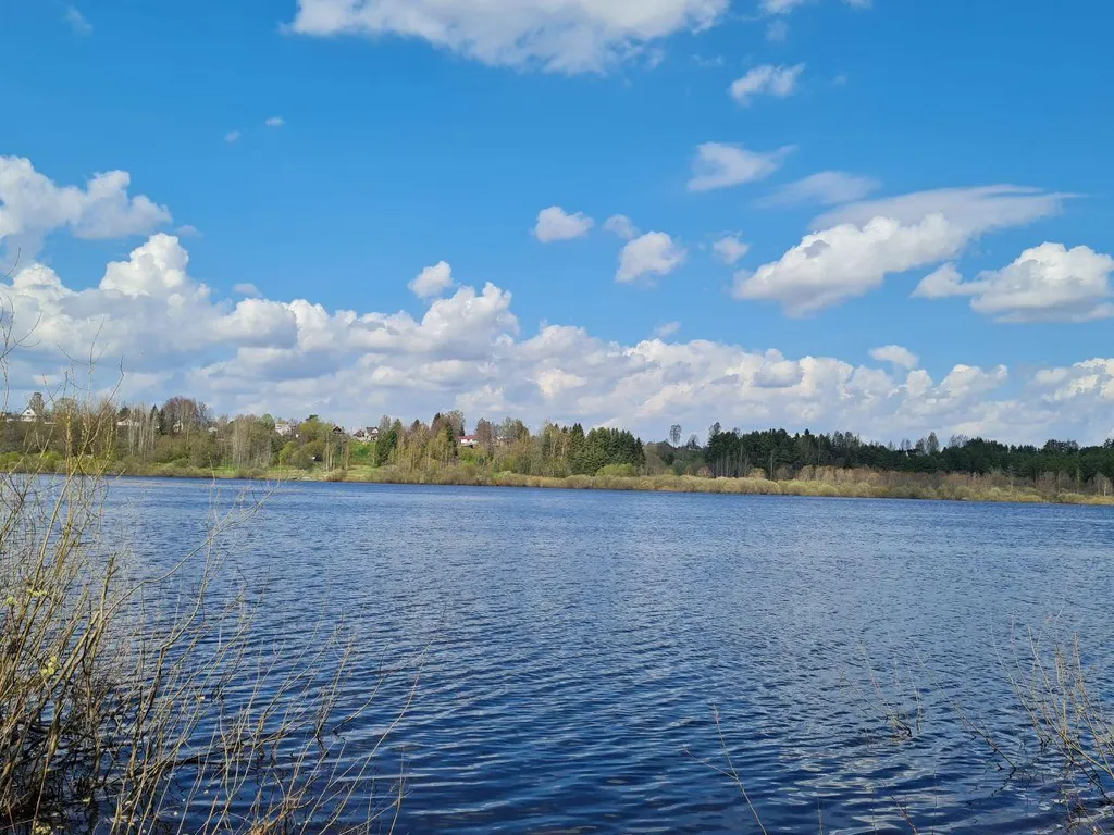 Коттедж Коттеджи у озера — Луга