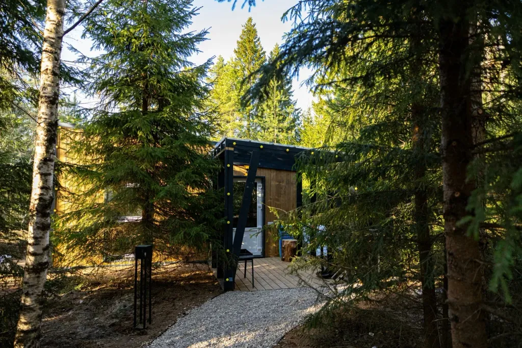 Дом с видом на лес