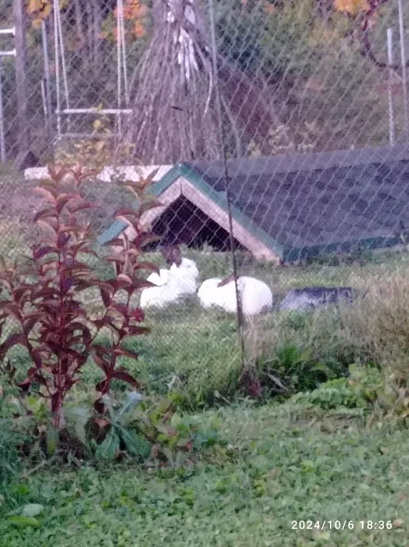 Комната с собственной терассой на крыше