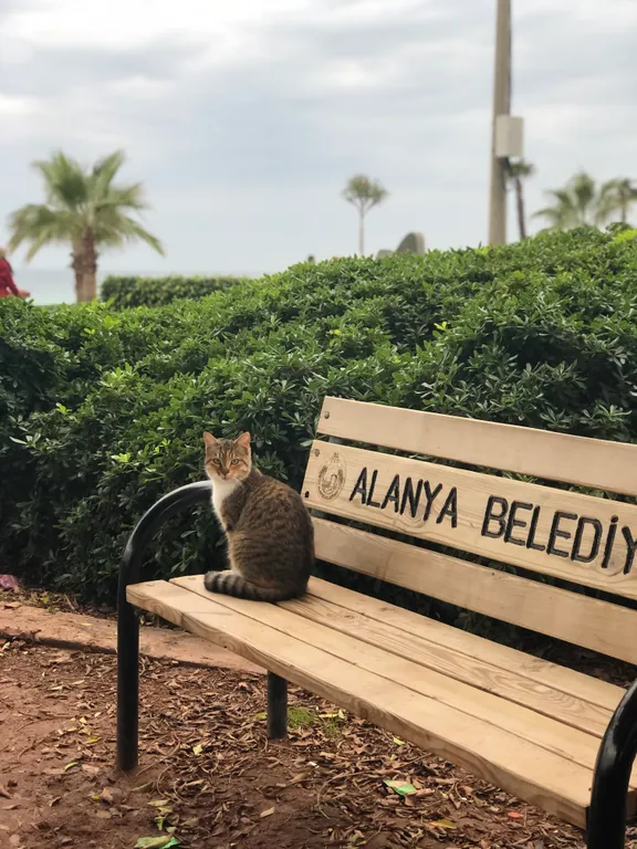 Уютное проживание в 300 м от пляжа Клеопатра