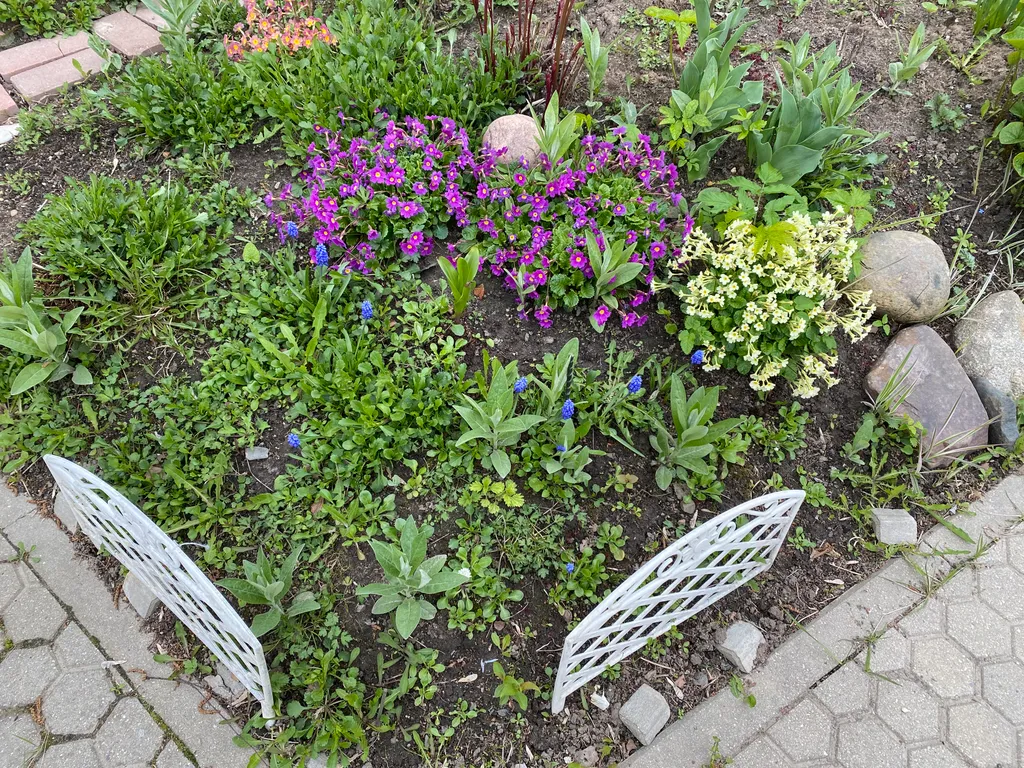 Эко-дом в центре