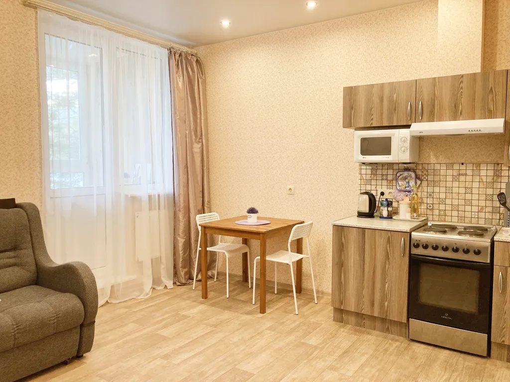 Квартира Просторная студия с огромной лоджией у озера — аренда посуточно в Сестрорецк