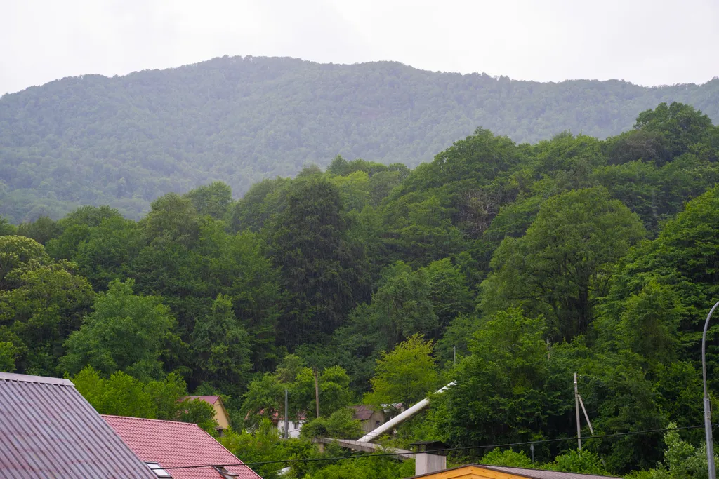Квартира 2-к квартира с видом на горы — Красная Поляна