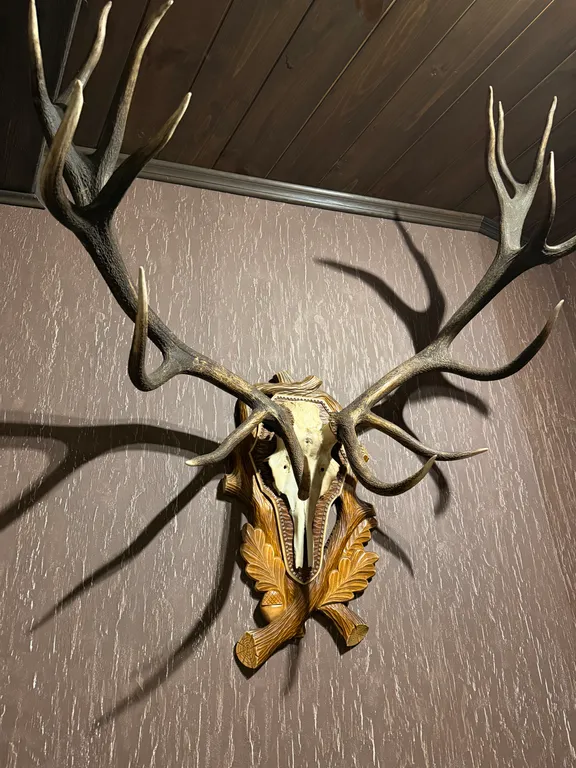 Grand chalet Беловежская пуща