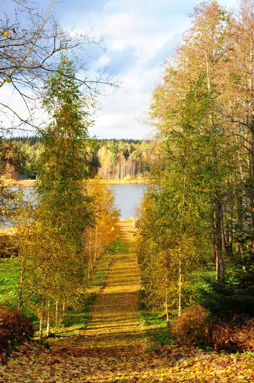 Коттедж Коттедж Маленький флигель — Луга