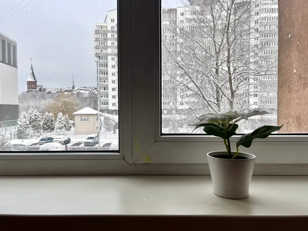 Квартира Семейная квартира с видом на Кафедральный собор — Калининград