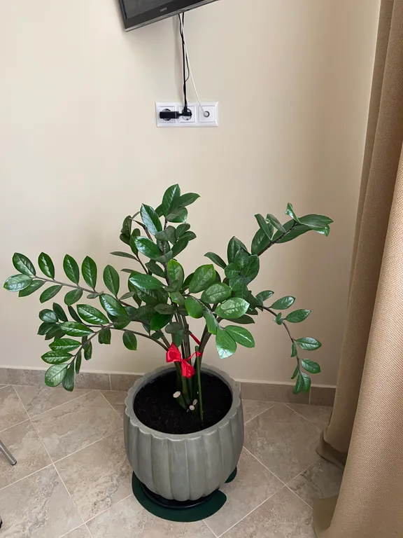 Квартира Светлая, уютная квартира у ТЦ Шоколад — Ярославль