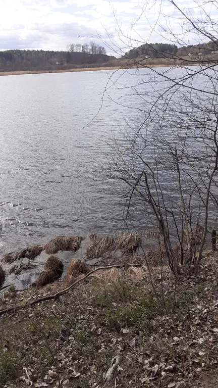 Дачный домик с Банькой в Карелии