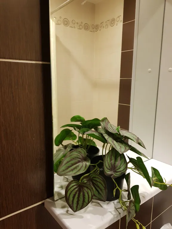 Уютная и чистая квартира