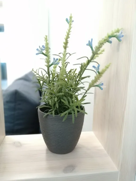 Апартаменты в центре с видом на парк