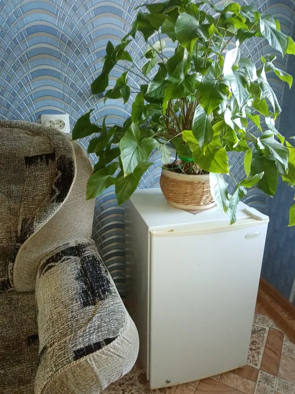 Квартира рядом с университетом