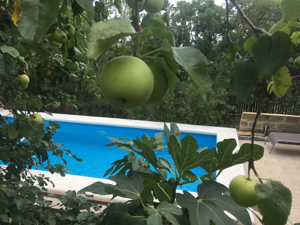 Апартаменты люкс с сауной, беседкой и бассейном