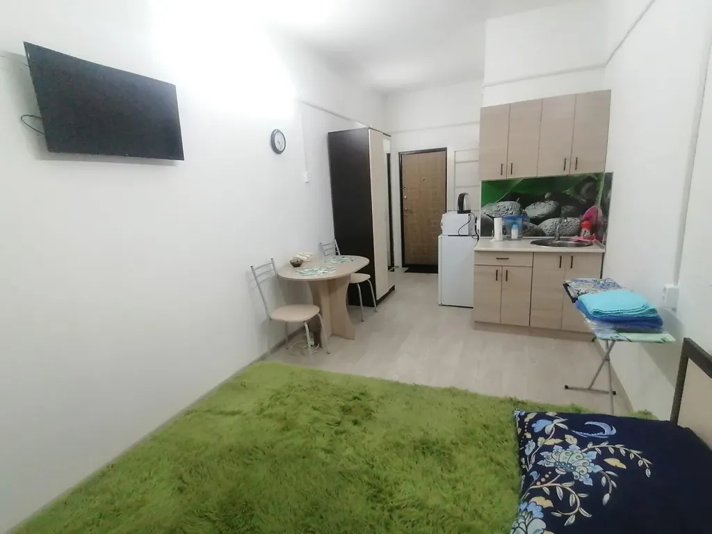 Квартира Зеленая студия у Речного вокзала — аренда посуточно в Новосибирск