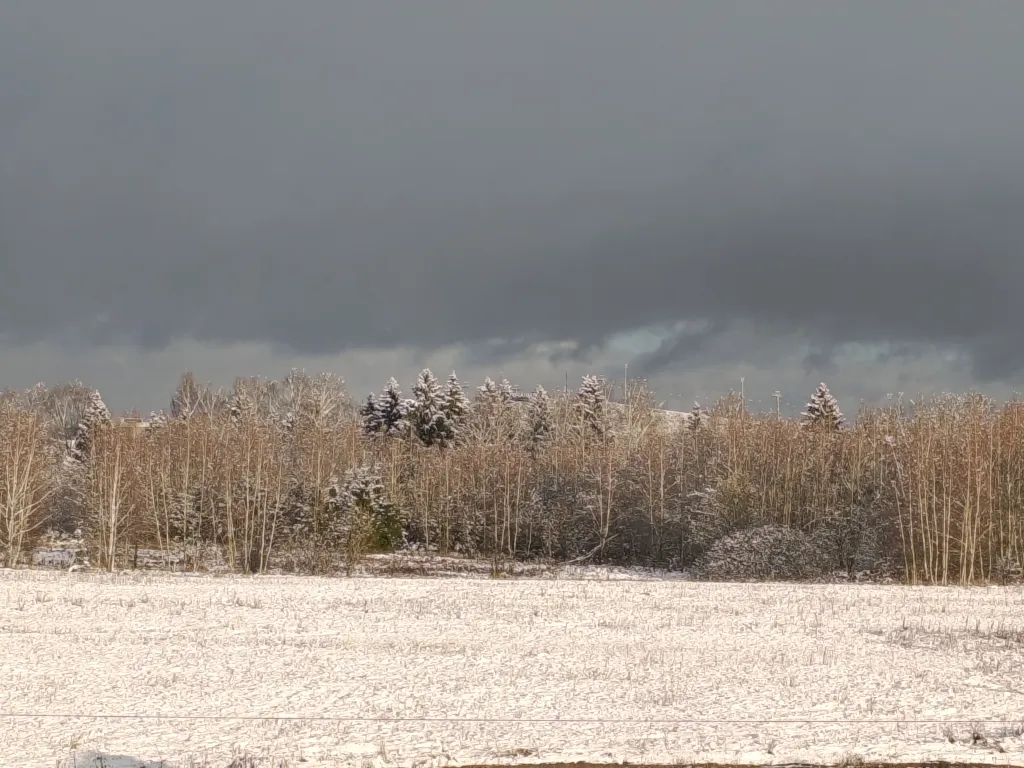 Коттедж Дом в аренду, горнолыжка Сорочаны — Капорки