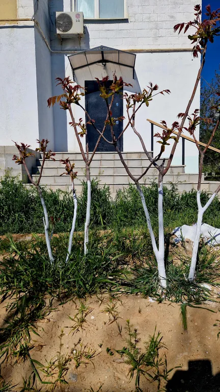 Квартира у моря — аренда посуточно в Актау