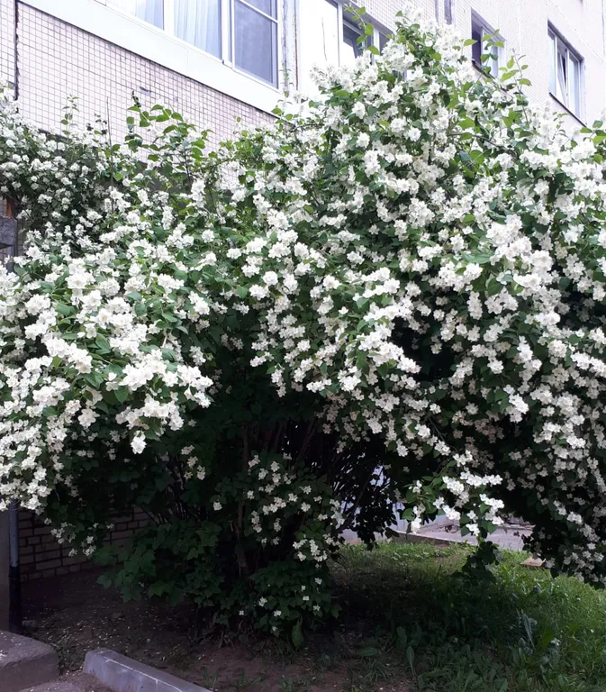 Квартира Квартира будь как дома — Тихвин