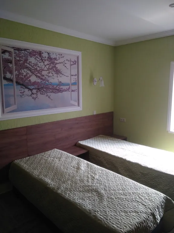 Квартира Квартира Четырехместные номера Зима, Весна, Лето, Осень — Витино