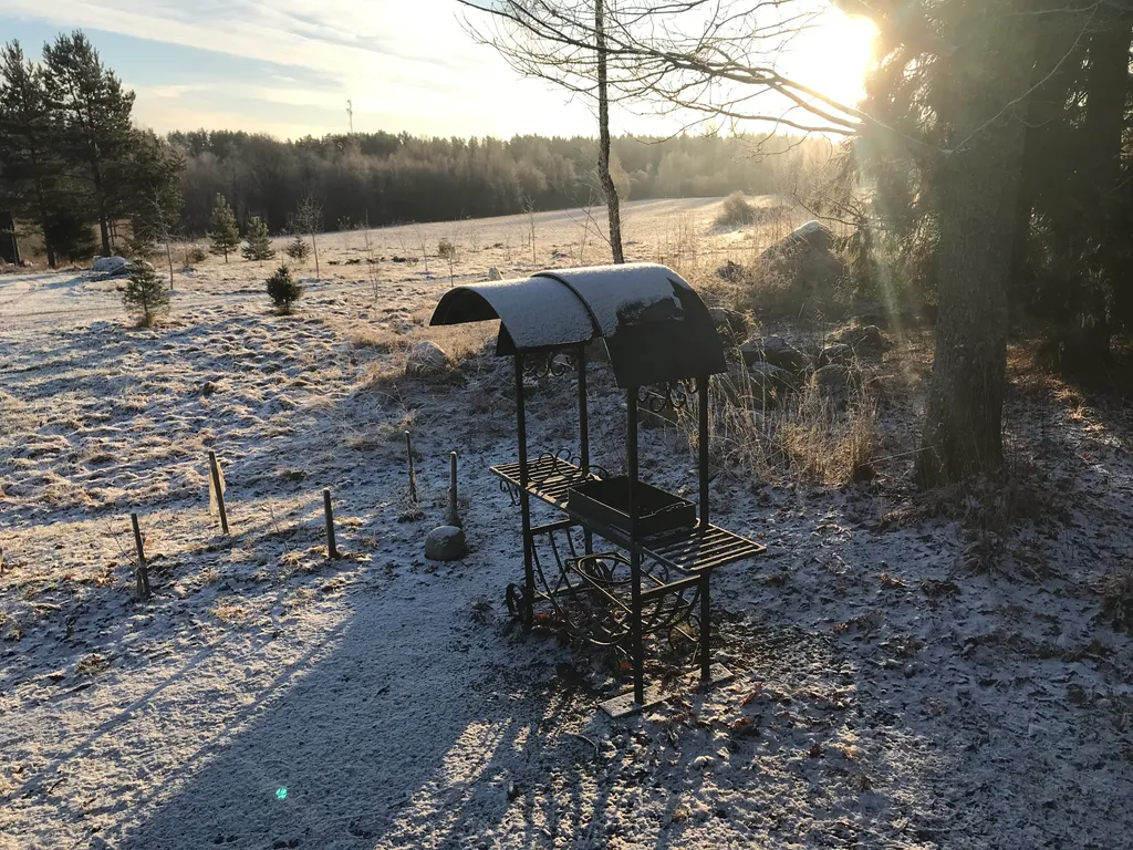 Загородный дом в лесу вблизи залива