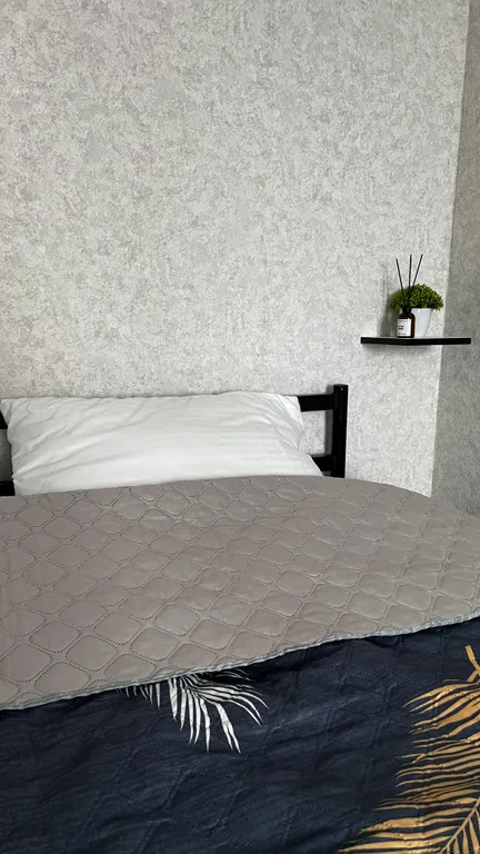 Квартира Комфортная квартира в исторической части — Хабаровск