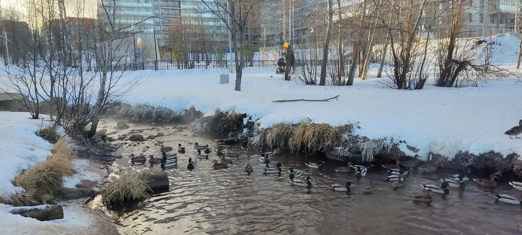 Апартамент Сказочный берег