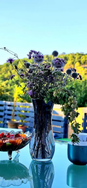 Дом-берлога в лесу с видом на горы