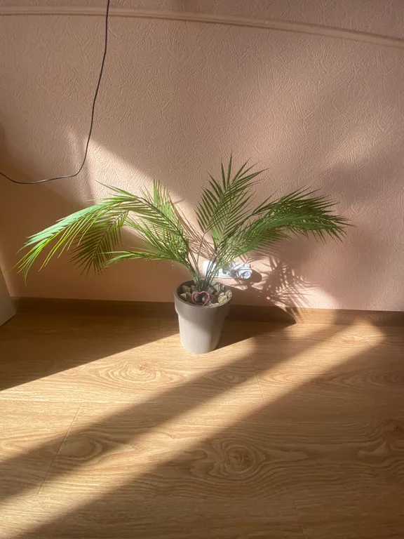 Элитная, новая однушка с авторским дизайном у песочного пляжа