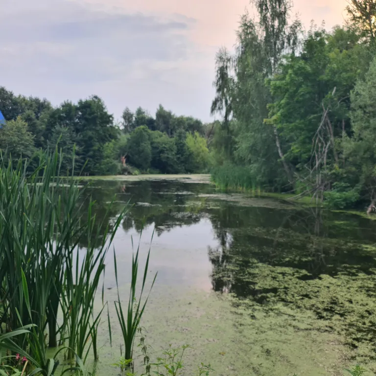 Дом на семи прудах