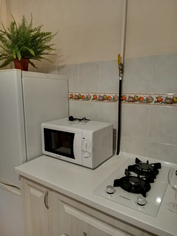 Квартира Уютная квартира в самом центре города — Калининград