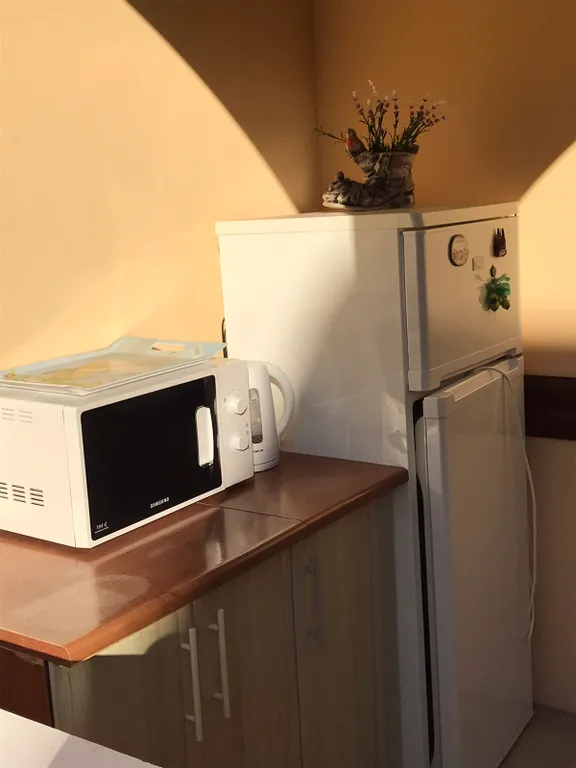 Апартаменты с террасой и мини кухней